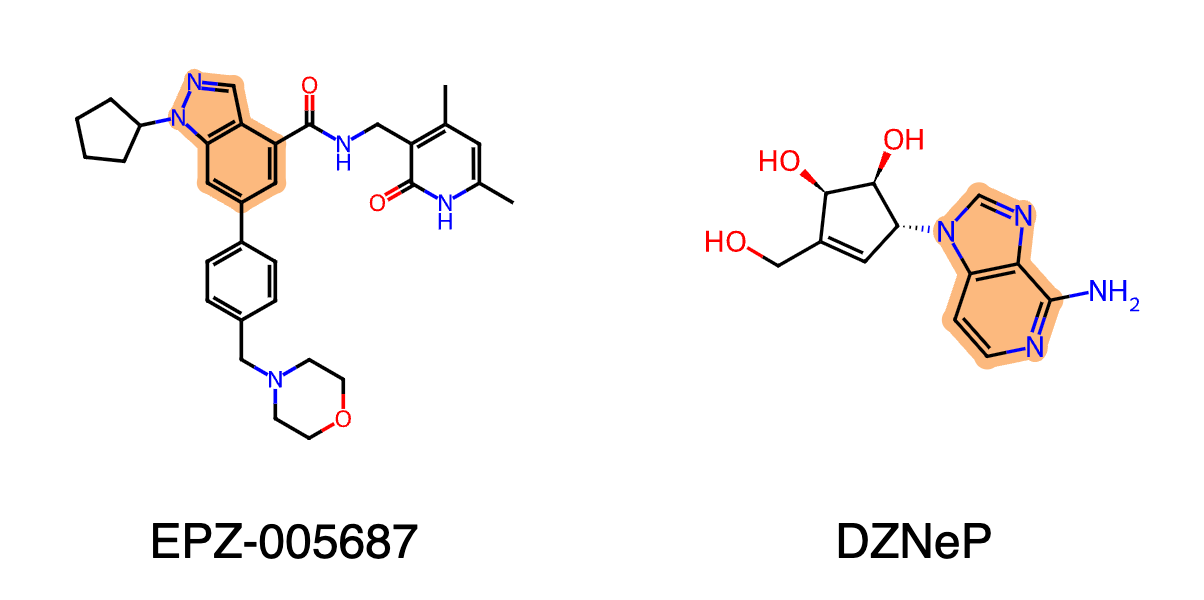 EZH2 prior art and reference molecules