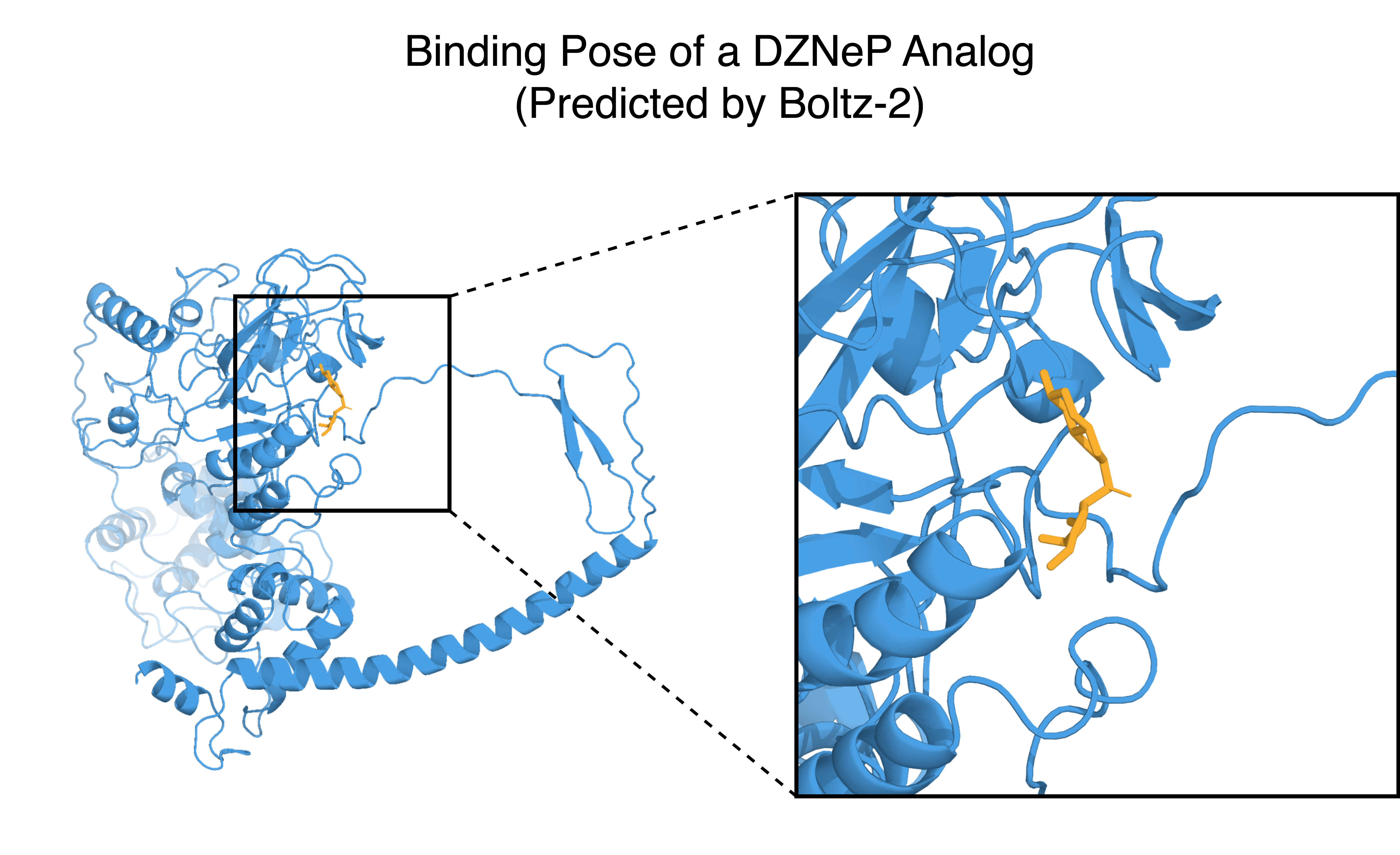 Complex view of molecular binding