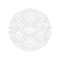 Your Logo